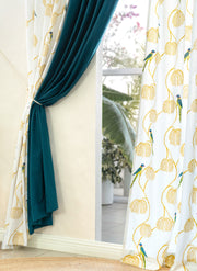 Mithu Room Darkening Combo Curtains