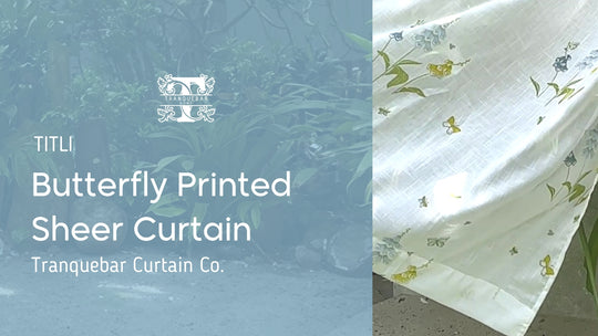 Titli Sheer Curtain (Set of 2)