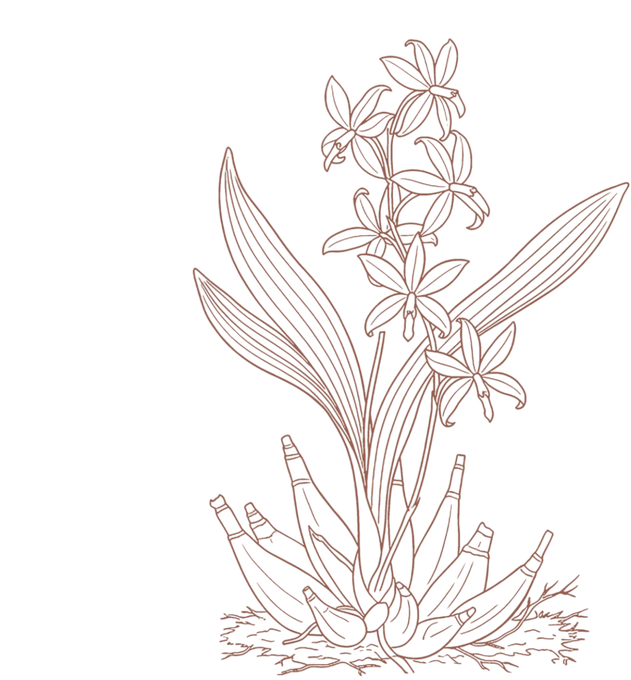Illustration 3